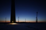 So profitiert Brandenburgs Natur von der Windenergie