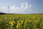 Greenpeace Energy veröffentlicht positiven Jahresabschluss