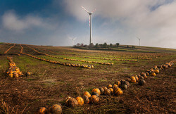 Bild: IG Windkraft
