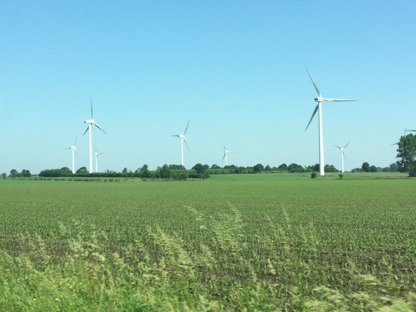 Wind farm in Lower Saxony (Image: Katrin Radtke)