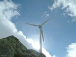 Bundesverwaltungsgericht muss gemäß Bundesgericht Dateneinsicht von Windprojekten neu beurteilen