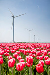 Vattenfall erweitert Onshore-Windpark in den Niederlanden