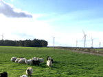 Prokon eG nimmt mit Fleetmark II den fünften Windpark in 2017 in Betrieb