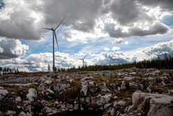 The facility will comprise 85 wind turbines from Vestas (Image: Vestas)