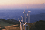 China's Wind Power III