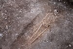 Skelett an Onshore-Kabeltrasse entdeckt