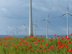 Bild: Windpark Druiberg / BWE