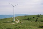 Striking the right balance between wind energy and biodiversity