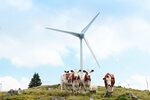 Steirischer Windkraftausbau wird auf niedrigem Niveau fortgesetzt