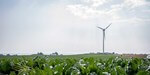 Startschuss für Peyton Creek-Windpark in Texas gefallen