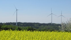 Windpark Goldboden Winterbach (Bild: EnBW) 