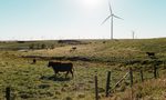Wind energy expansion and birds of prey: A Conservation partnership