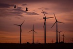 New poll confirms overwhelming majority back wind energy