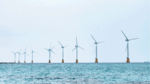 TÜV NORD zertifiziert eine der größten Windparkzonen weltweit 