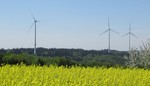 Windenergie braucht klare Artenschutzvorgaben