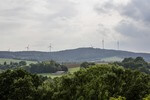 Australian State Plans Large-Scale Wind Farm in a Forest