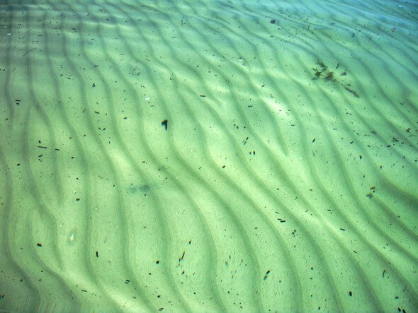 Der Meeresboden des Schelfs bietet keine Struktur (Bild: Pixabay)