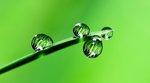 Iberdrola Committed to Push Green Hydrogen Production