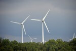 Das KNE empfiehlt: Die Nutzung von Windenergie im Wald nicht generell ausschließen