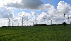 Visualisierung des Windparks in Düsedau, vier davon EnBW. (Bild: EnBW / Visualierung: Ulrike Ahrens)