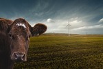 Enel Green Power and HP Hood LLC: delivering dairy with renewable energy