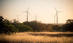 Voltalia commissions another 211 MW of Serra Branca cluster in Brazil