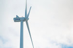 Largest wind farm in the Middle East produces electricity