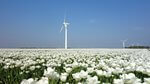 Einigung bei naturverträglichem Ausbau der Windenergie an Land erzielt