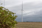 Siemens Gamesa und Schleswig-Holstein Wind GmbH treiben Energiewende mit einer Vielzahl von Projekten voran  
