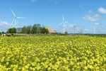 Ausbau für Windkraft: Deutsche Umwelthilfe fordert Abschaffung von Abstandsregeln und keine unnötig langen Übergangsfristen