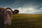 Artenschutzrechtlichen Ausnahme für Windenergieanlagen 