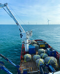 Rovco Awarded Contract at Galloper Offshore Wind Farm
