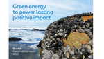 Ørsted Nachhaltigkeitsbericht: Grüne Energie mit einer nachhaltig positiven Wirkung