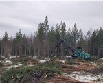 Bau des bisher größten finnischen Energiequelle-Windparks beginnt