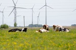 Landesregierung droht Verfehlung eigener Windkraft-Ziele