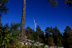 Wald-Windpark Bad Berleburg als Vorbild 