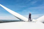Abschöpfung von Überschusserlösen: energy consult unterstützt Windparkbetreiber bei der Ermittlung von Erlösabschöpfungsbeträgen