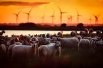 Zustimmung für die Energiewende sichern: Wie die Bundesländer die Akzeptanz neuer Wind- und Solarparks stärken