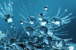 BDEW zur Fortschreibung der Nationalen Wasserstoffstrategie: „Strategie braucht klares Zielbild“