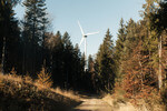 Bayerische Staatsforsten starten zwei weitere Auswahlverfahren für neue Windenergieanlagen
