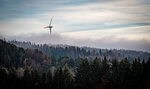 Windkraft im Wald: Iberdrola erhält Zuschlag für 790 Hektar Windparkfläche in Baden-Württemberg