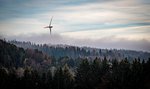 Iberdrola wins bid for 790 hectares of wind farm land in Germany