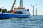International Day for Biological Diversity: RWE tests artificial reefs at offshore wind farm in the Baltic Sea