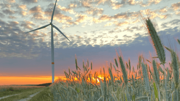 Image: © Qualitas Energy acquires 36 MW wind energy project in Brandenburg