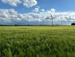 Repowering-Genehmigung erteilt: 49,6 Megawatt Windpark in Tüttendorf darf gebaut werden 