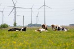 Qualitas Energy wins tender, orders Nordex turbines for 39.9 MW wind farm in Mecklenburg-Western Pomerania, Germany