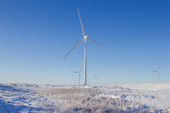 Qualitas Energy übernimmt einen Windpark mit 32 Anlagen an der niedersächsischen Nordseeküste  Bildrechte: iStock/PBouman