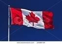 Canada - Report: Tax incentives needed to help boost wind energy
