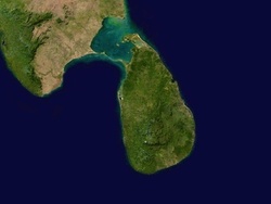 Wind energy in Sri Lanka: new wind farm (10 MW)