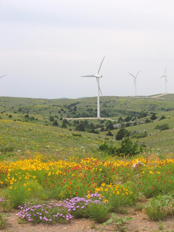 Blue Canyon wind farm